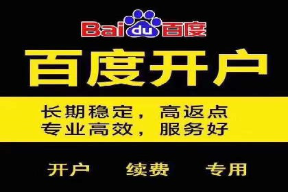 案例教学：SEM竞价助力电商营销